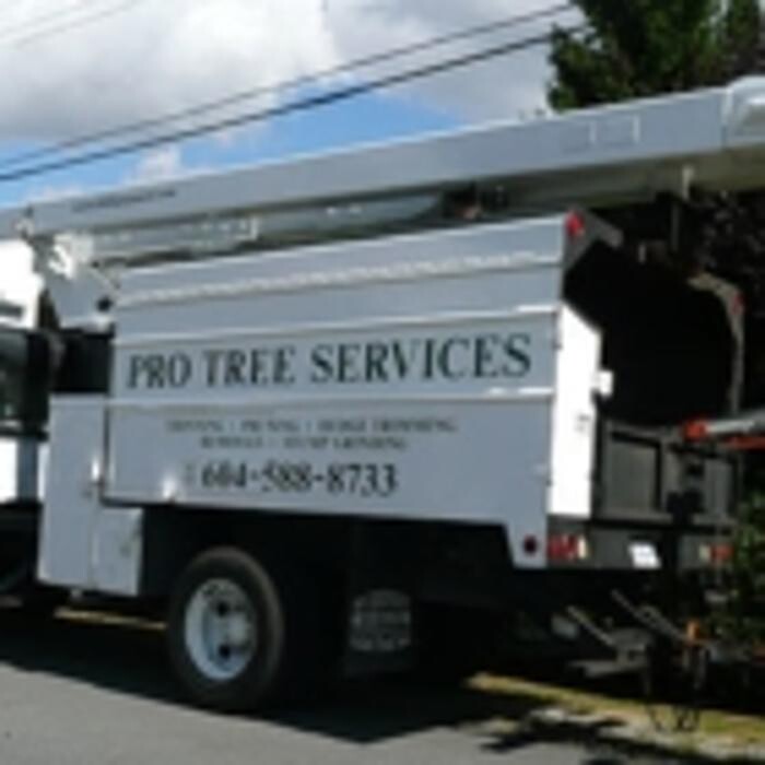 Images Pro Tree Services