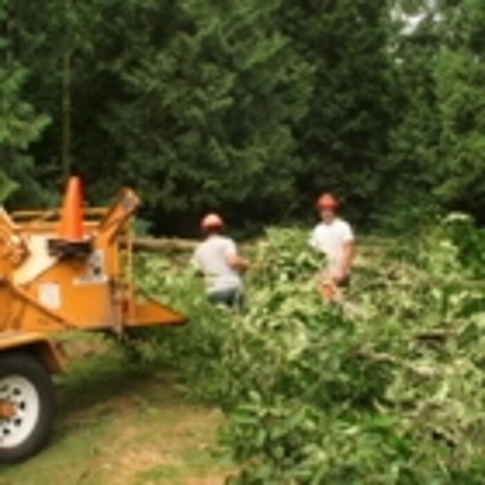 Images Pro Tree Services