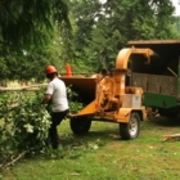 Images Pro Tree Services