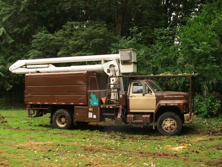 Images Pro Tree Services