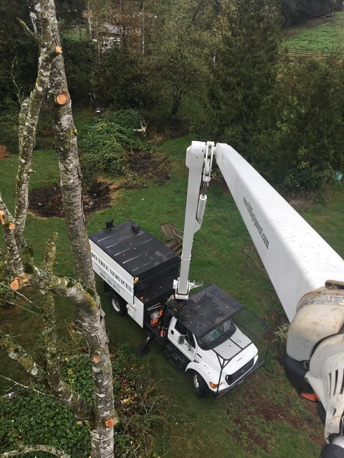 Images Pro Tree Services