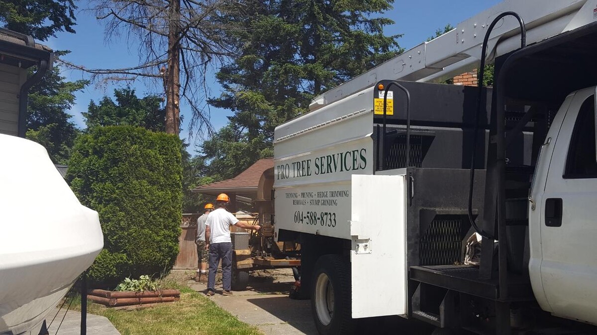 Images Pro Tree Services
