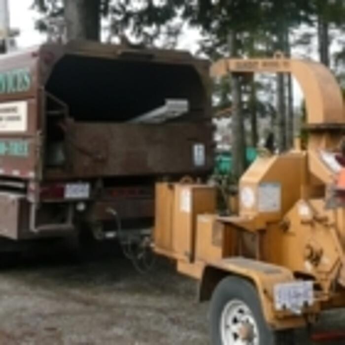 Images Pro Tree Services