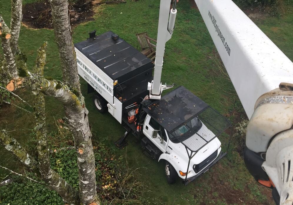 Images Pro Tree Services