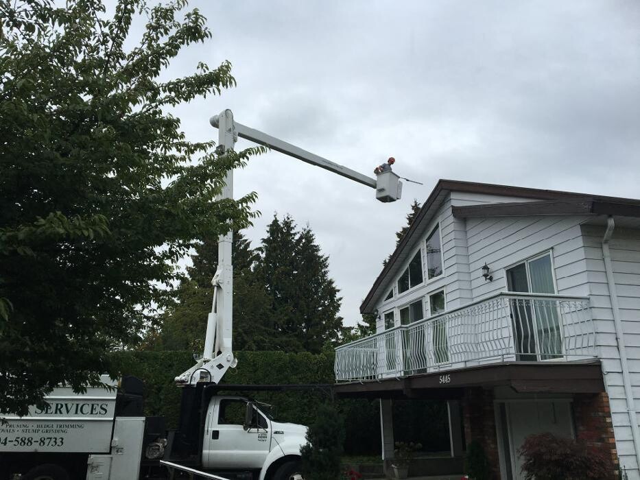 Images Pro Tree Services