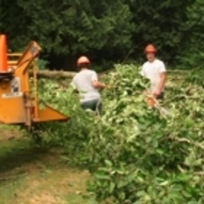 Images Pro Tree Services