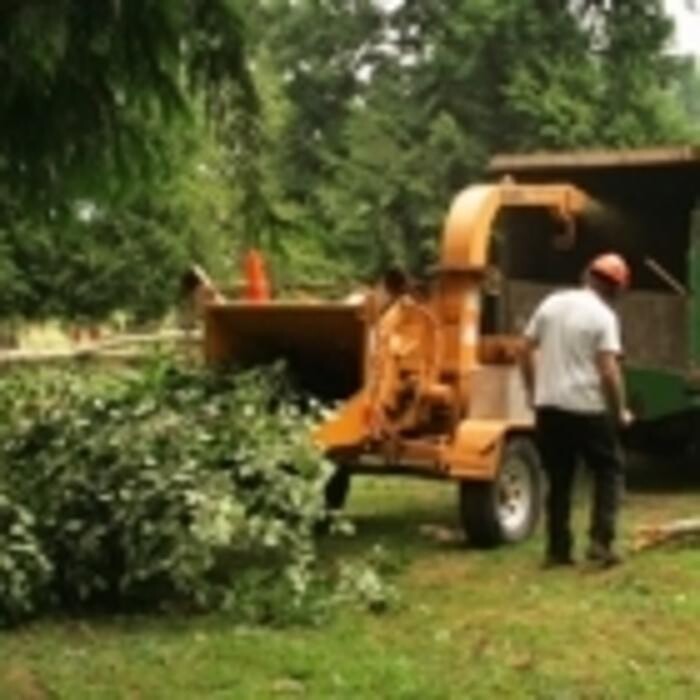 Images Pro Tree Services