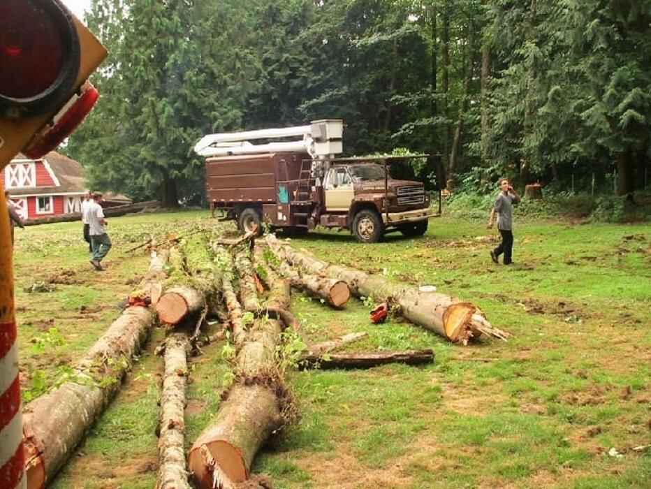 Images Pro Tree Services