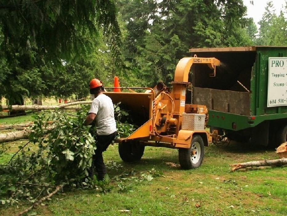 Images Pro Tree Services