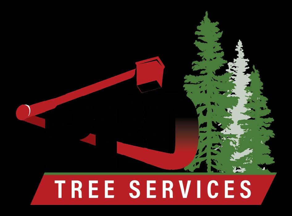 Images Pro Tree Services