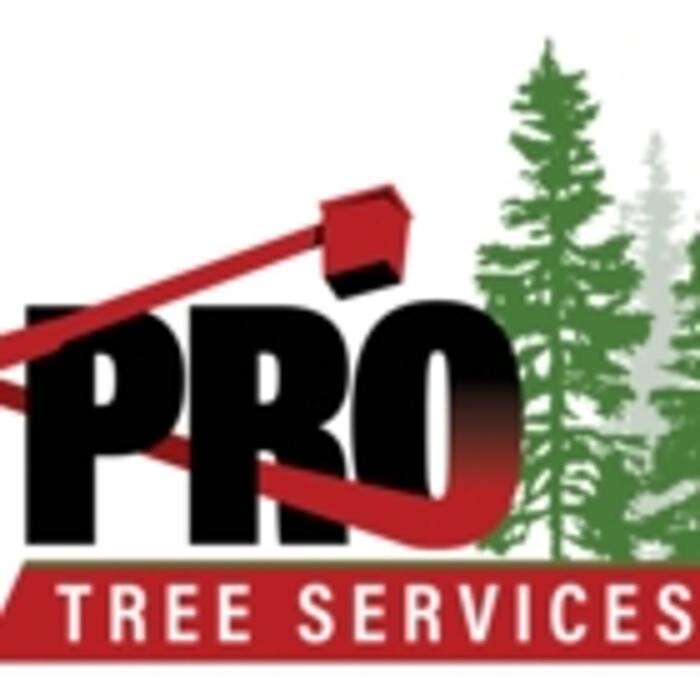 Images Pro Tree Services