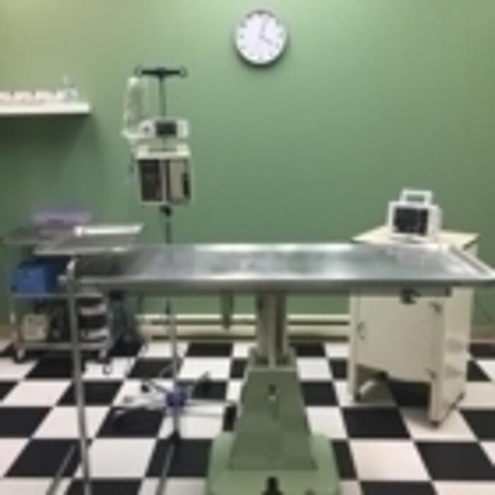 Images Ocean Park Veterinary Clinic
