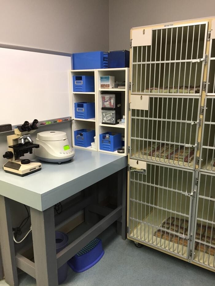 Images Ocean Park Veterinary Clinic