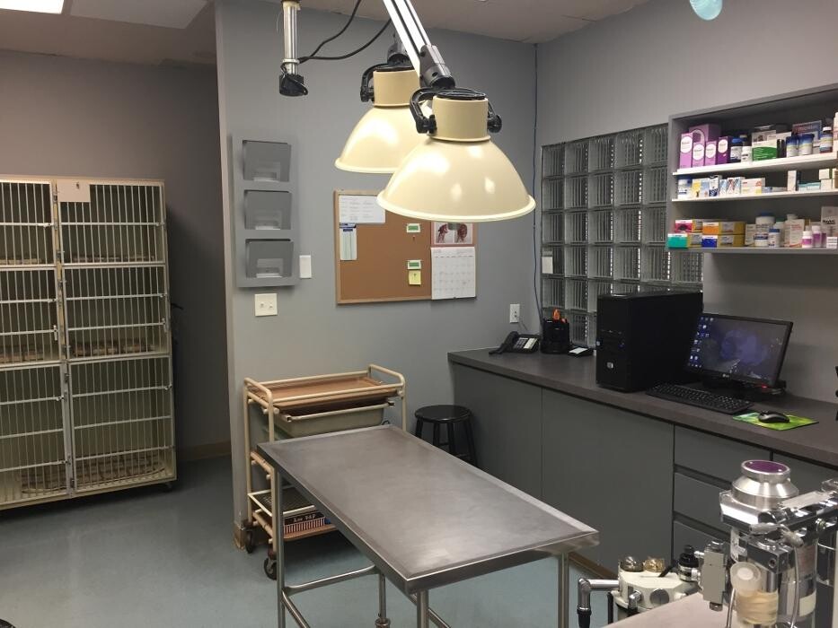 Images Ocean Park Veterinary Clinic