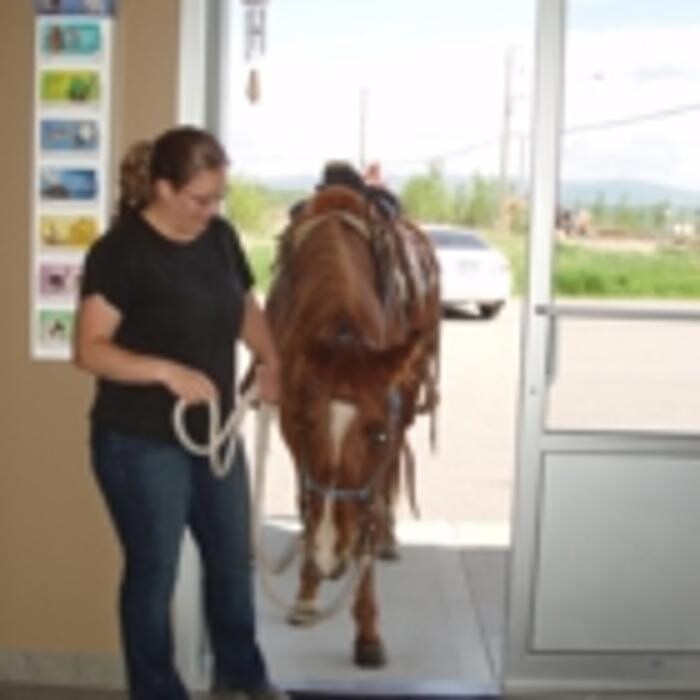 Images Murdoch Veterinary Clinic