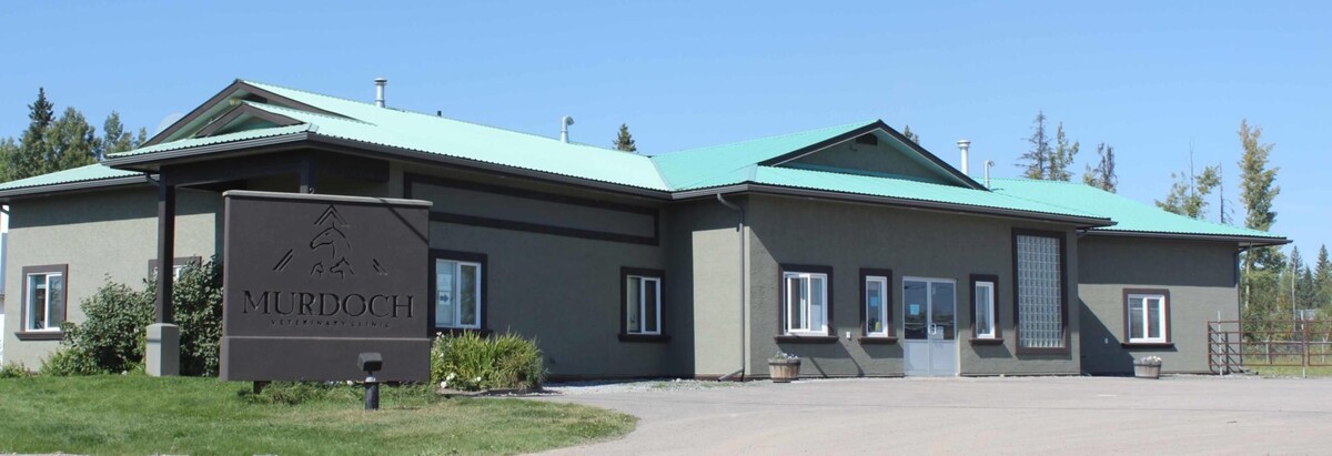 Images Murdoch Veterinary Clinic