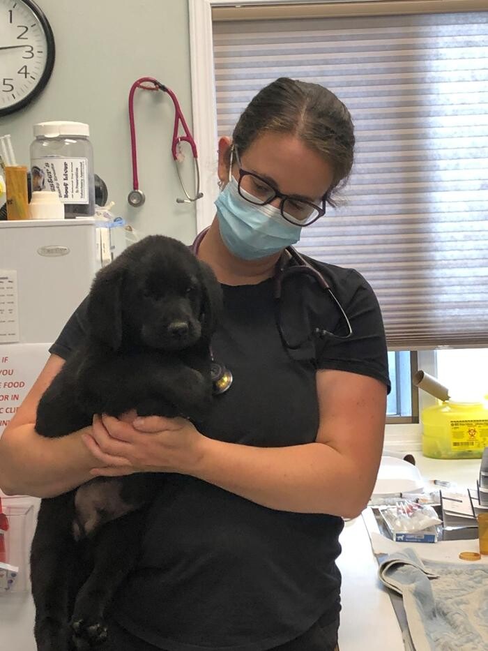Images Murdoch Veterinary Clinic