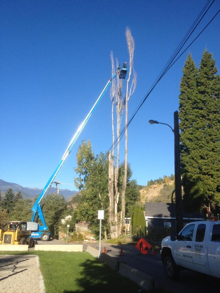 Images Glacier Valley Tree Care Ltd