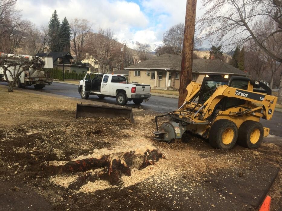 Images Glacier Valley Tree Care Ltd