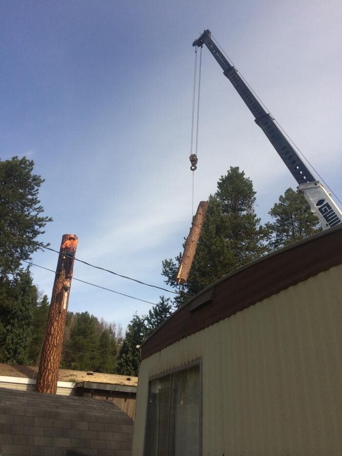 Images Glacier Valley Tree Care Ltd