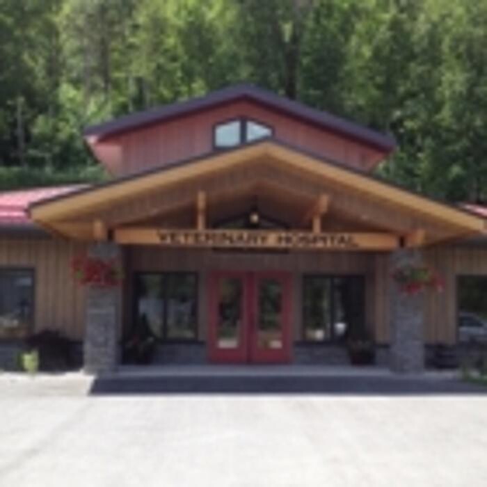 Images Arrow Lake Veterinary Hospital