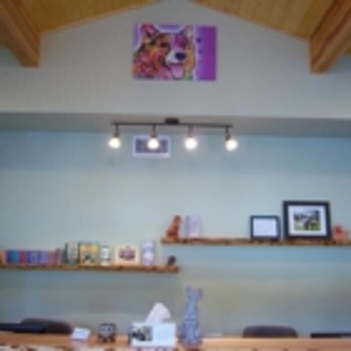 Images Arrow Lake Veterinary Hospital