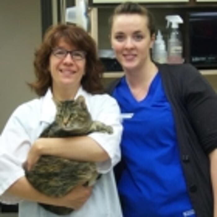 Images Arrow Lake Veterinary Hospital