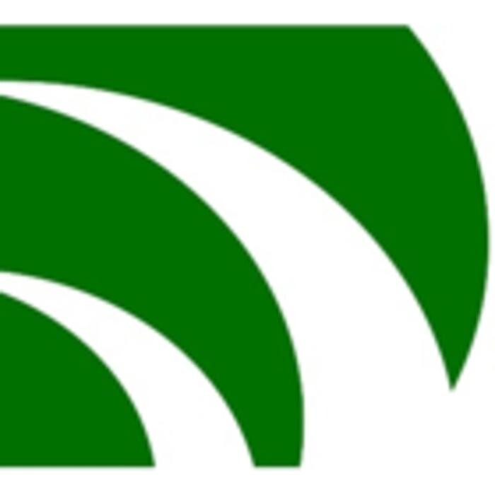 Pellegrini Financial Logo