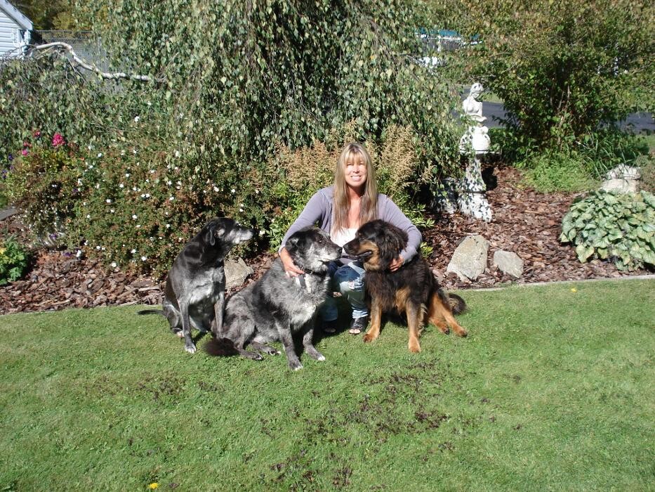 Images Mackye Kennels