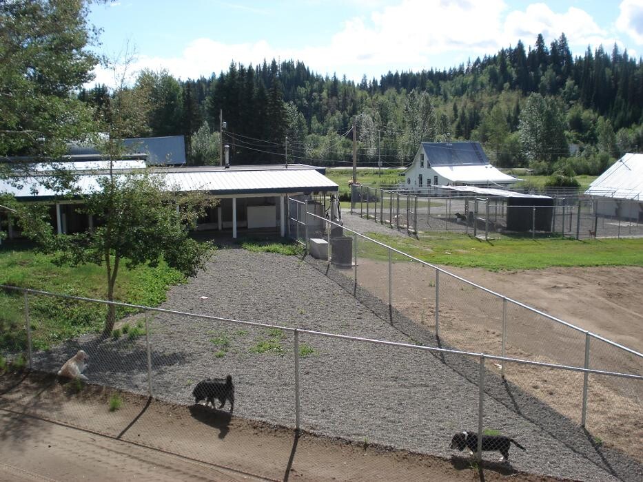 Images Mackye Kennels