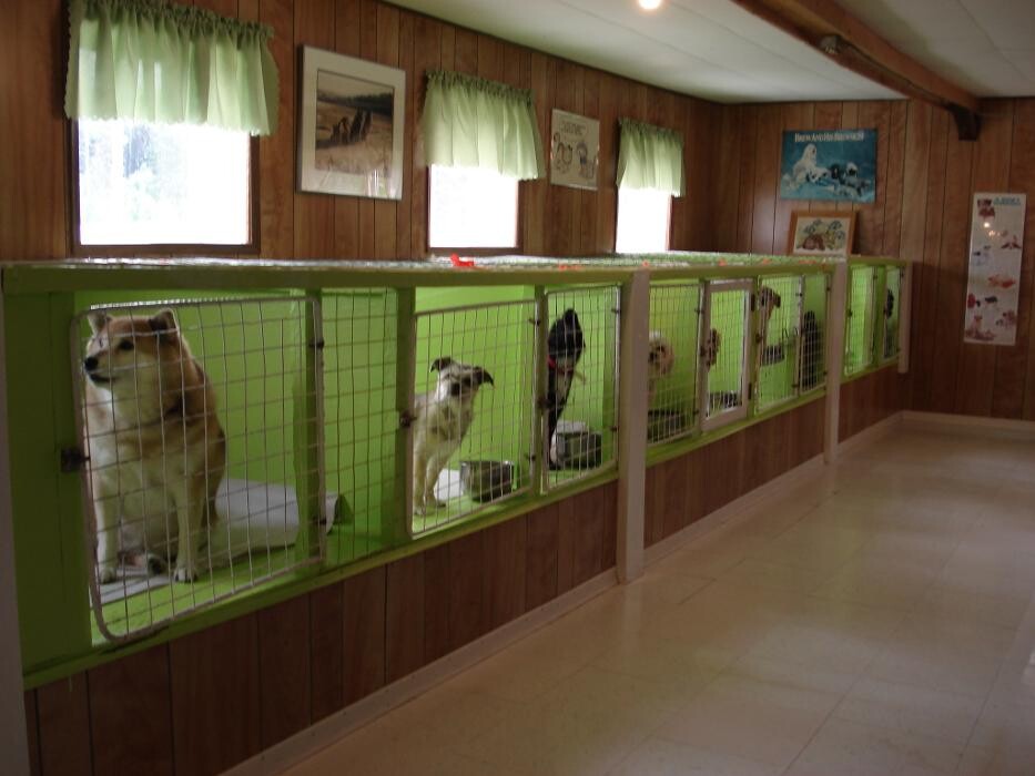 Images Mackye Kennels