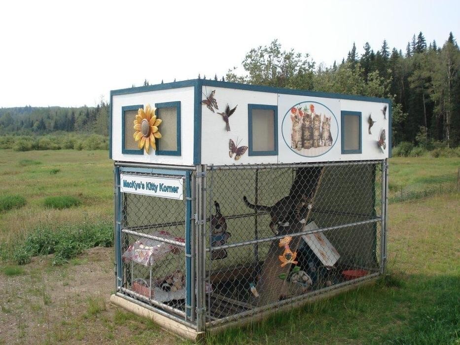 Images Mackye Kennels