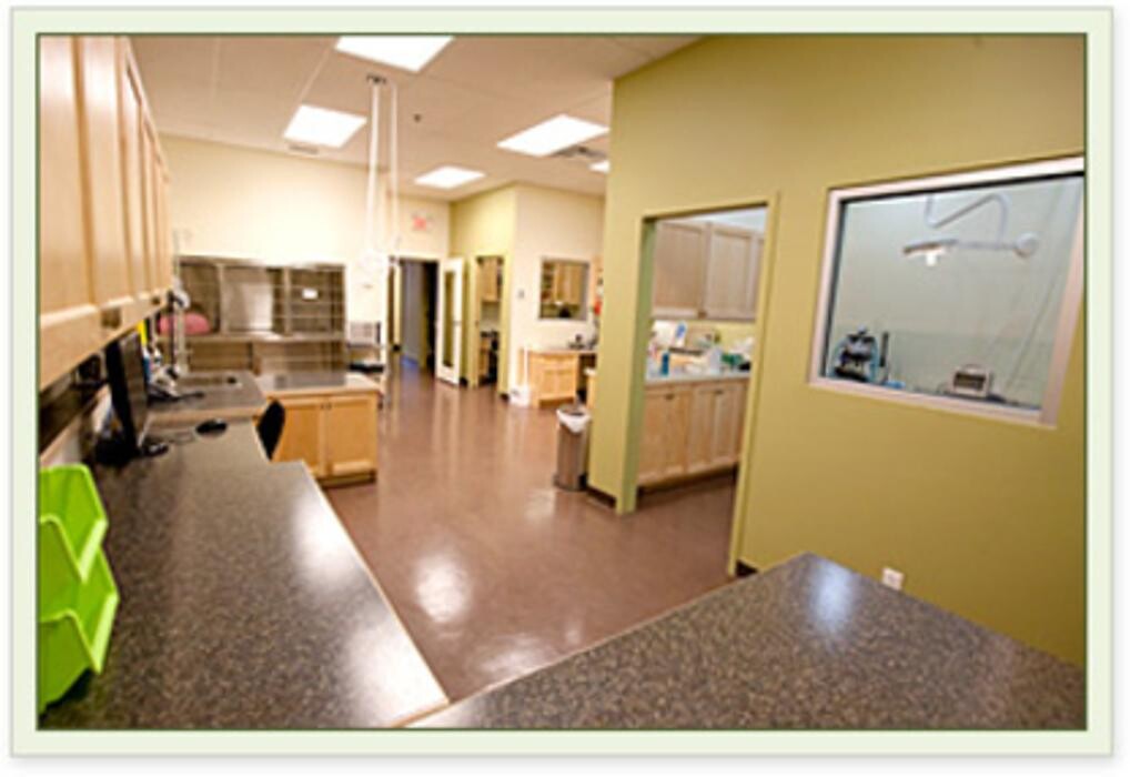 Images Aspen Springs Animal Hospital