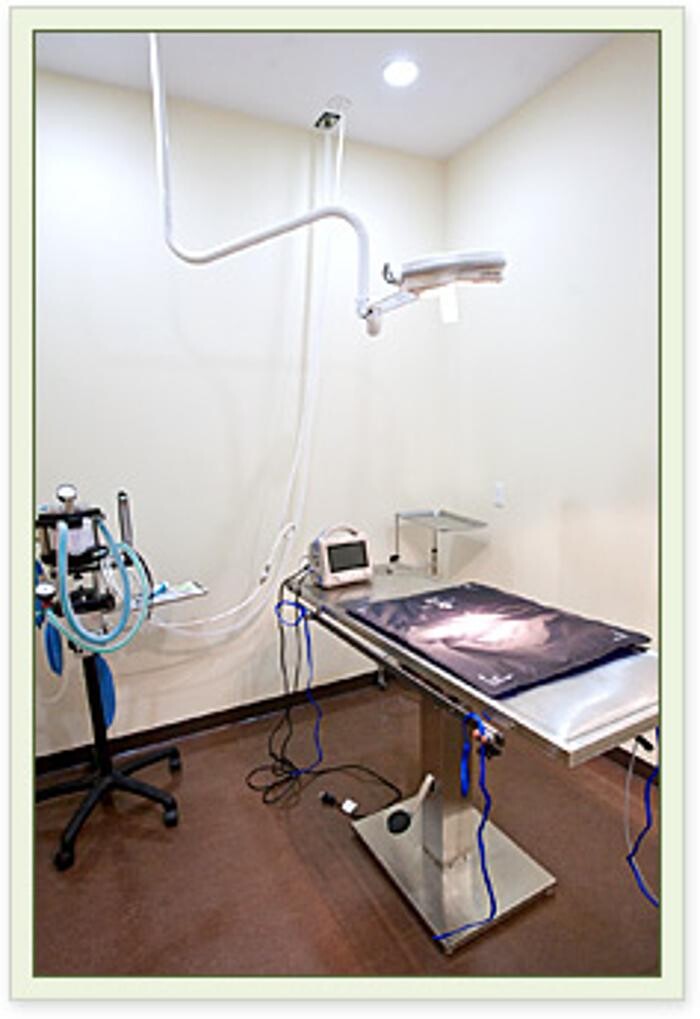 Images Aspen Springs Animal Hospital