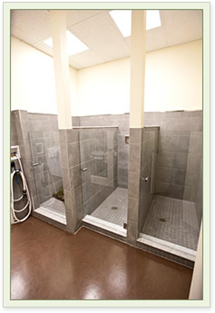 Images Aspen Springs Animal Hospital