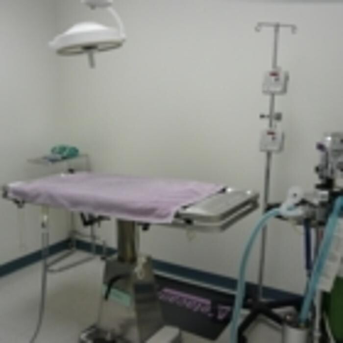 Images Thickson Road Pet Hospital