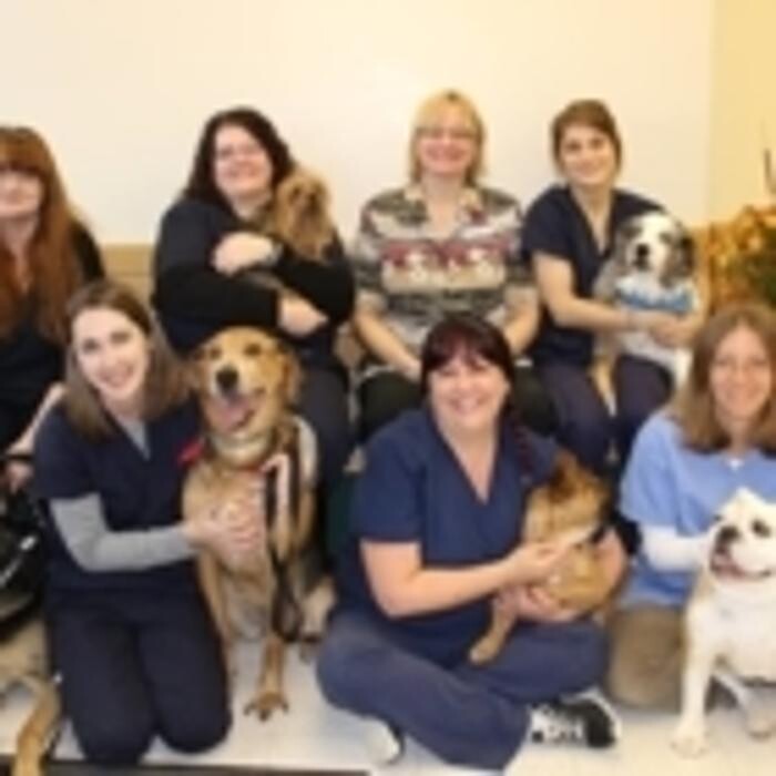 Images Thickson Road Pet Hospital