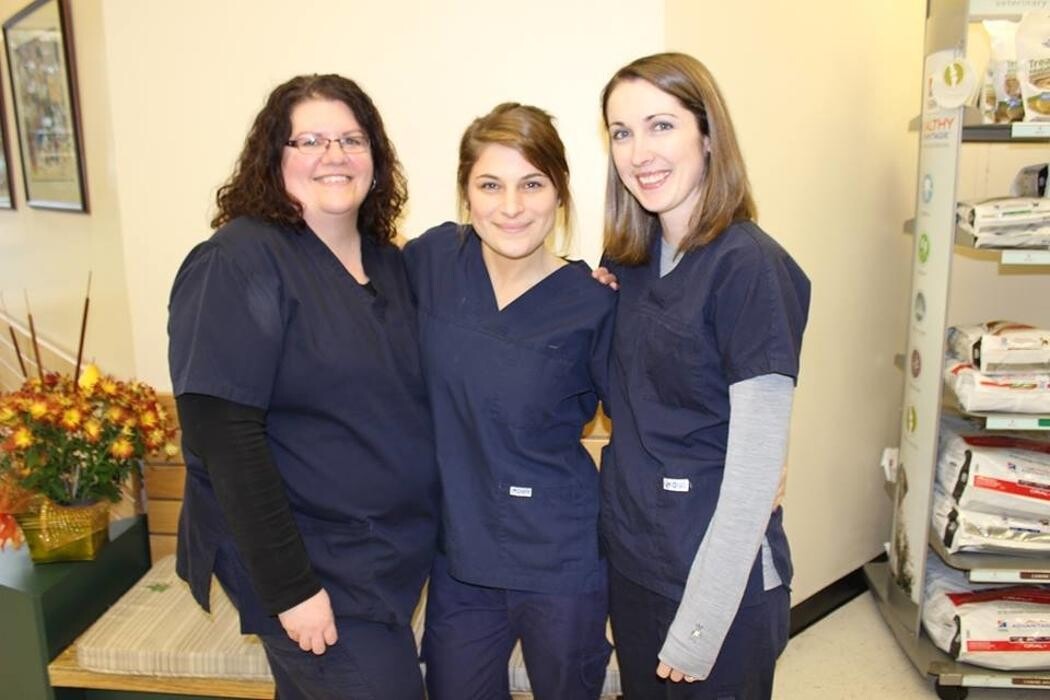 Images Thickson Road Pet Hospital