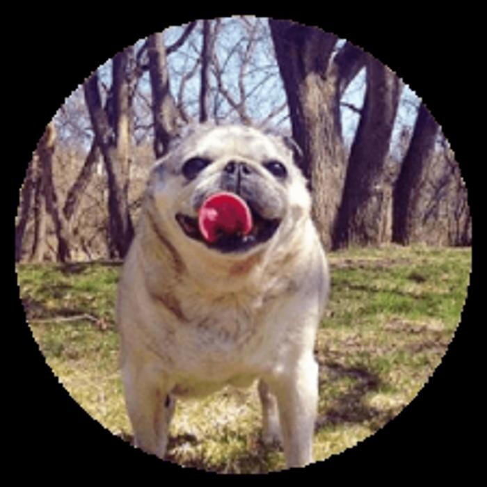 Images Pembina Veterinary Hospital