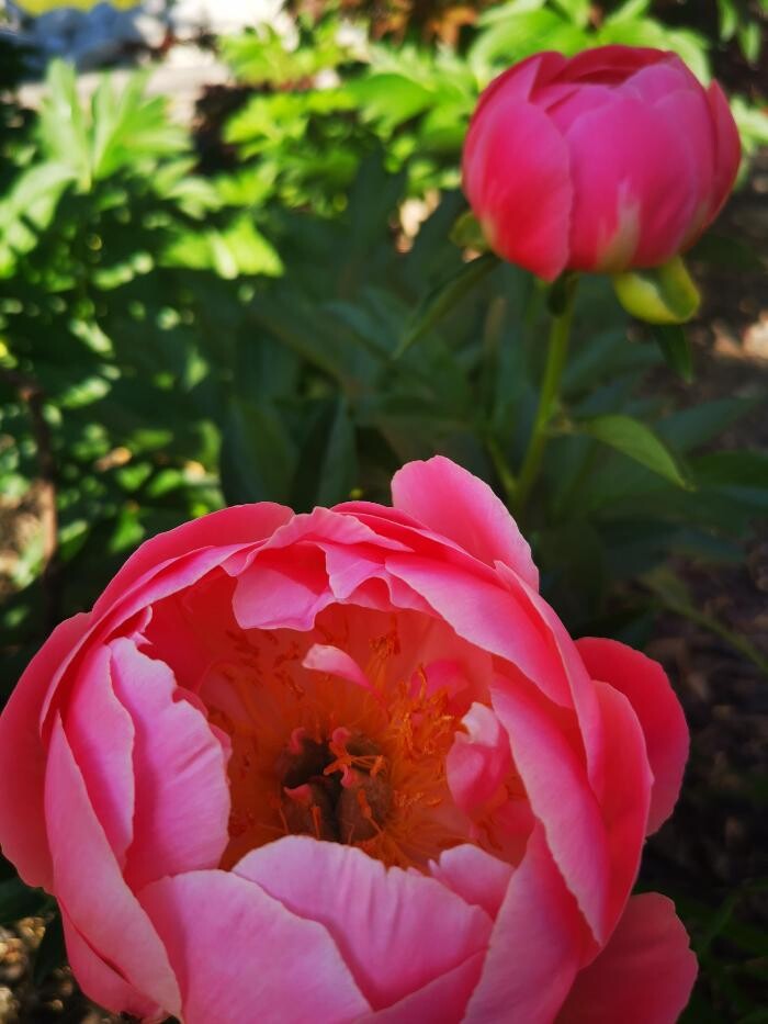 Images Mortgage Architects Bennett Capital Group