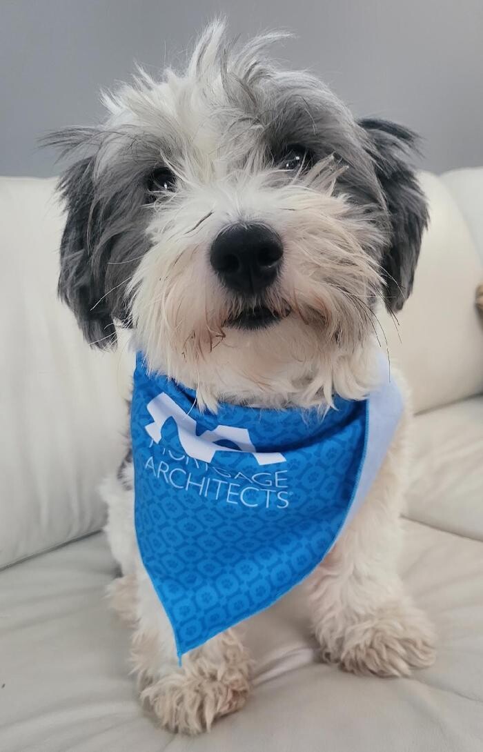 Images Mortgage Architects Bennett Capital Group