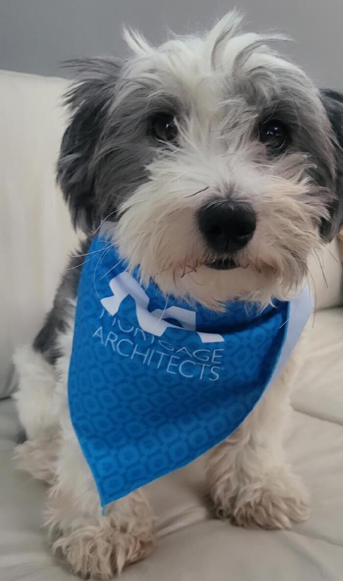 Images Mortgage Architects Bennett Capital Group