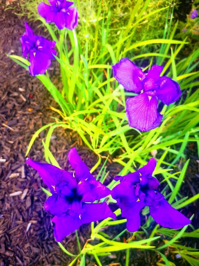 Images Mortgage Architects Bennett Capital Group