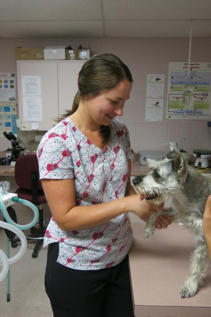 Images Little Mountain Veterinary Clinic
