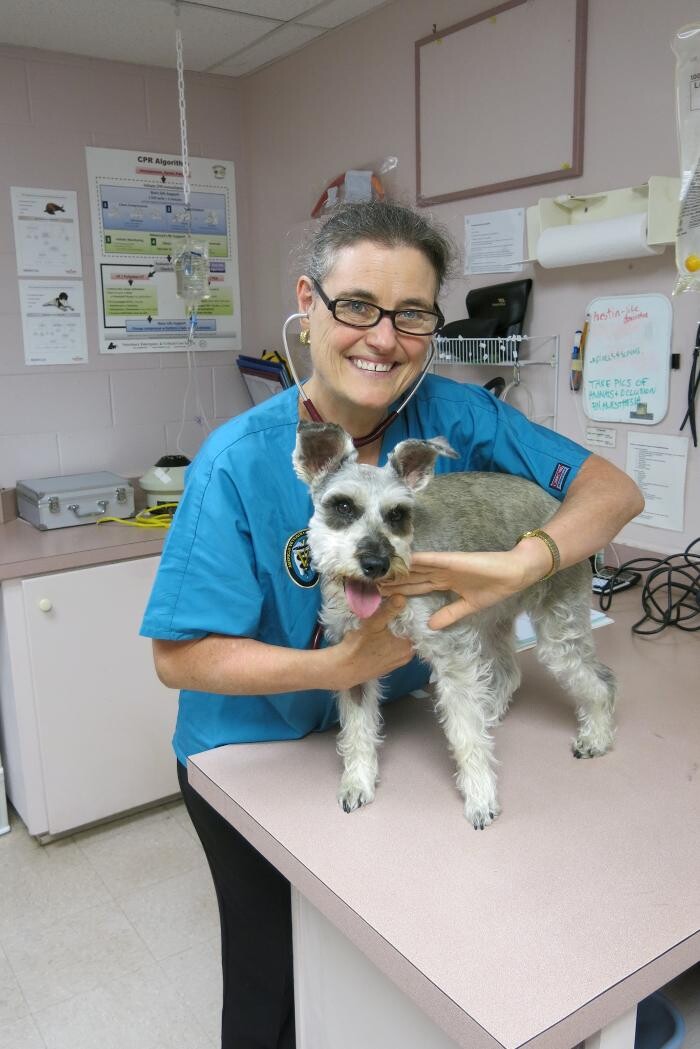 Images Little Mountain Veterinary Clinic