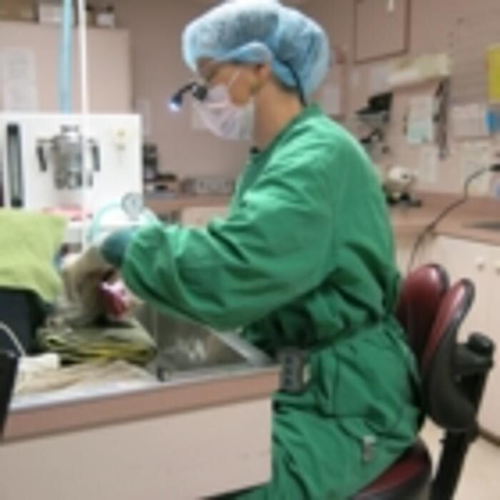 Images Little Mountain Veterinary Clinic