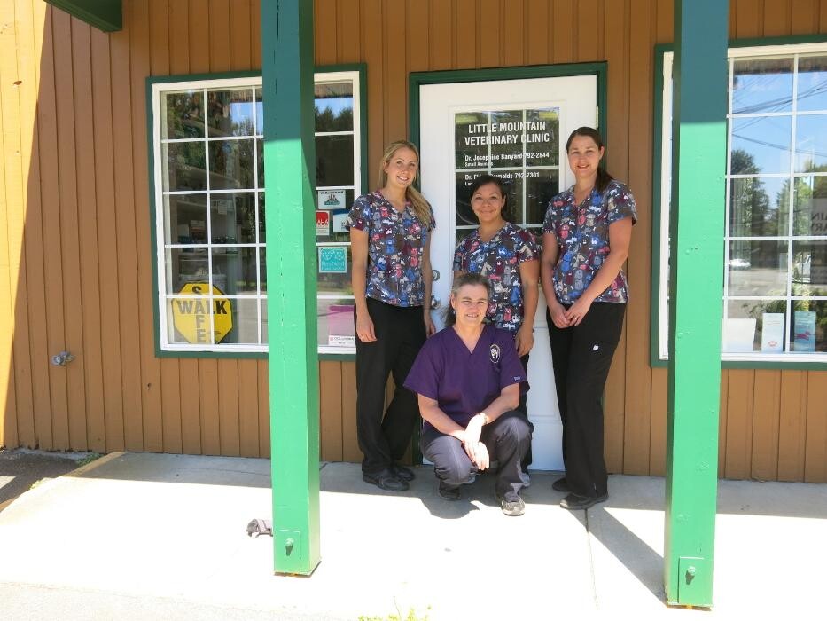 Images Little Mountain Veterinary Clinic
