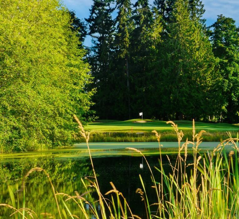 Images Morningstar Golf Club