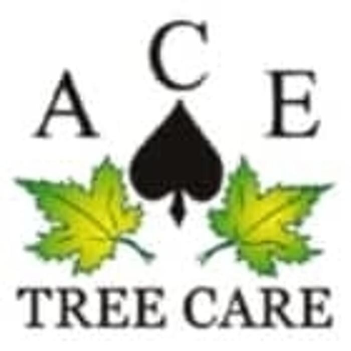 Images A C E Tree Care