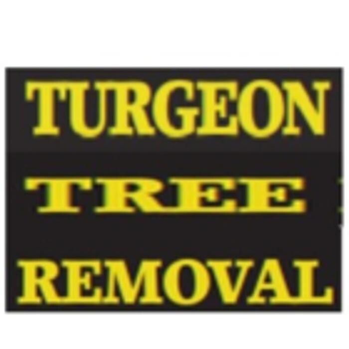 Images Turgeon Tree Removal